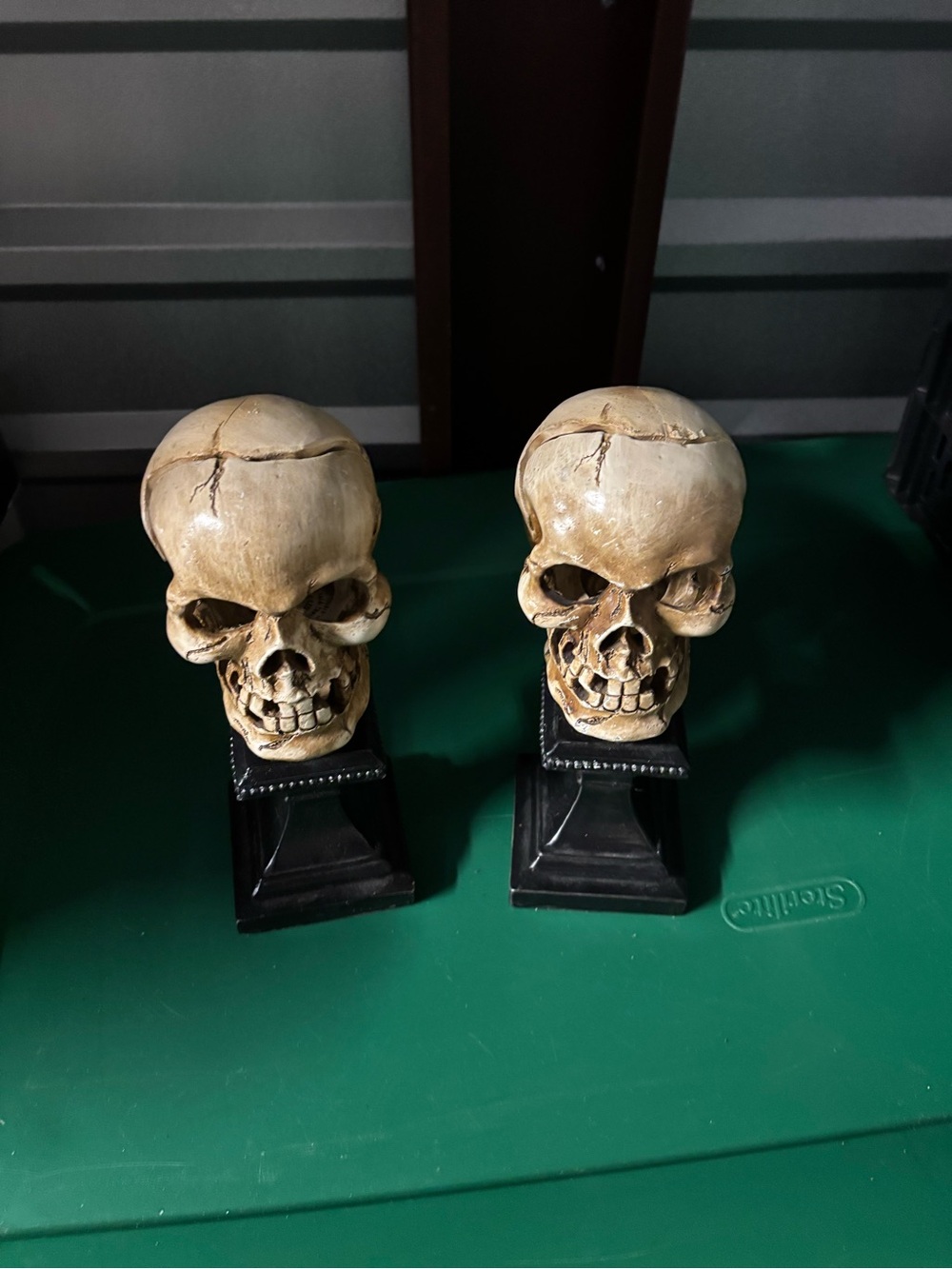 Pair of Beige Skull Bookends on Black Pedestals